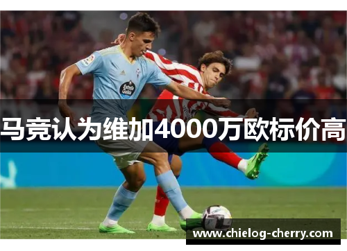 马竞认为维加4000万欧标价高